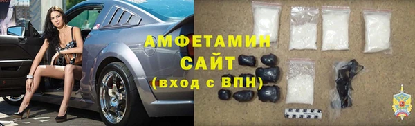 гашик Богданович