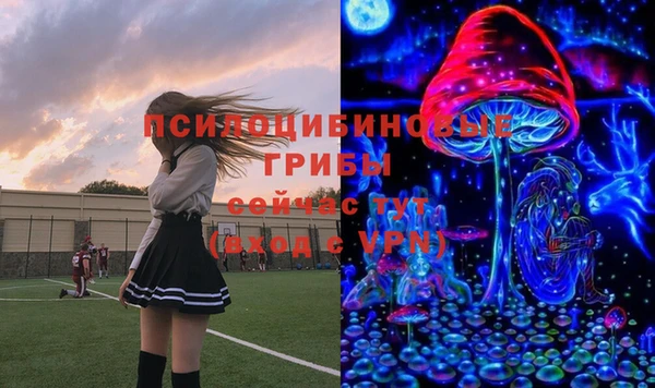 амфетамин Богородицк