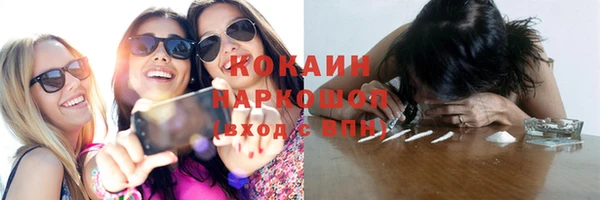 гашик Богданович