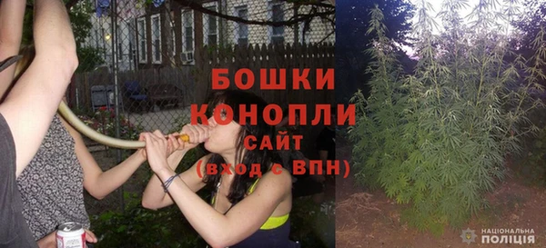 гашик Богданович
