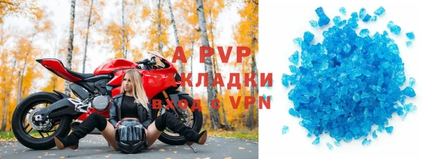 гашик Богданович