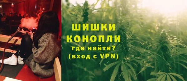 ГАЛЛЮЦИНОГЕННЫЕ ГРИБЫ Бронницы