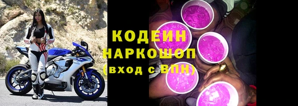 гашик Богданович