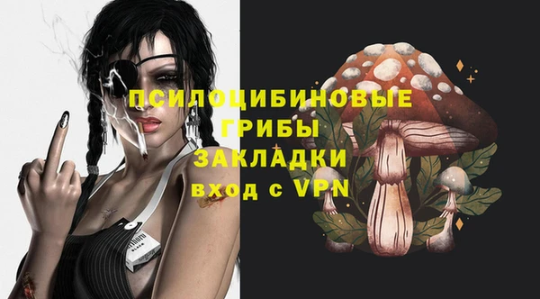 мдпв Богородск