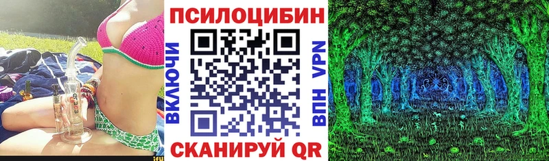 где купить наркоту  mega ТОР  Псилоцибиновые грибы Psilocybine cubensis  Горнозаводск 
