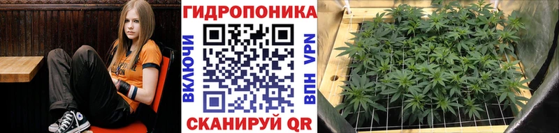 как найти закладки  Горнозаводск  Шишки марихуана сатива 